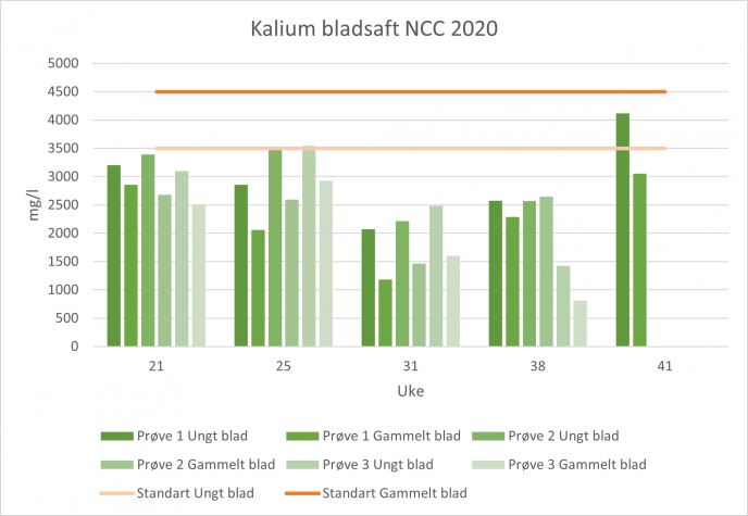 Kalium bladsaft NCC 2020